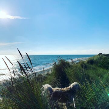 160558011_467965917689331_2267936889849560626_n